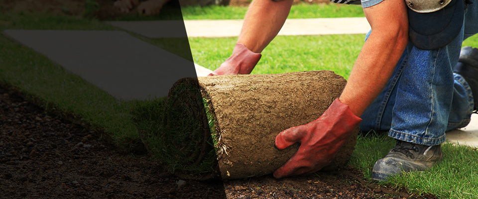 Plaistow Landscapers